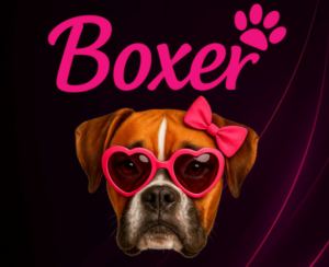 BOXER | SALES 30ML
